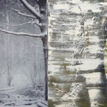 Andreas Eriksson, Foto med grenar och snömålning, 2008 