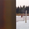 Andreas Eriksson, Almoso med foto, 2008