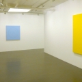 Rickard Sollman: Installation veiw Galleri Flach+Thulin, 2008