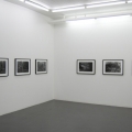 Helena Bergengren, Galleri Flach 2009