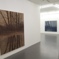 Installation view; LG Lundberg Galleri Flach, 2009