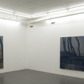 Installation view; LG Lundberg Galleri Flach, 2009