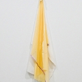 \'Shrine\', 2009, Twan Janssen