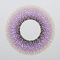  \'I rejoice in my uniqueness\', 2008, Twan Janssen
