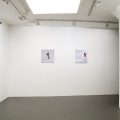 "Through the Eye", Galleri Flach, 2010