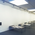 Amanda Kristina Pedersen’s Physiognomical Inquiries, 2011, Kristina Bength