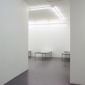 Amanda Kristina Pedersen’s Physiognomical Inquiries, 2011, Kristina Bength