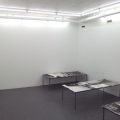 Amanda Kristina Pedersen’s Physiognomical Inquiries, 2011, Kristina Bength
