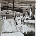 Amanda Kristina Pedersens Fysionomiska undersökningar, 2009/2010, Kristina Bength