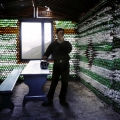 Sergey, 2007, Ville Lenkkeri