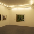 Installation view, 2011, Galleri Flach