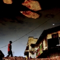 Evolution, 2011, Kiripi Katembo