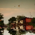 Rester, 2011, Kiripi Katembo