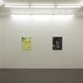 The Secret Paintings, 2014, Galleri Flach