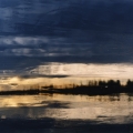 Icy Prospects #17, 2006