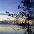 Icy Prospects #43, 2007