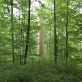 Eighth Chimney, 2007, Jan Svenungsson