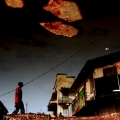 Evolution, 2010, Kiripi Katembo Siku