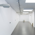 Swindled Seeing, 2013, Karin Ohlin