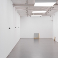Swindled Seeing, 2013, Karin Ohlin