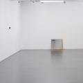 Swindled Seeing, 2013, Karin Ohlin