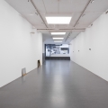 Swindled Seeing, 2013, Karin Ohlin