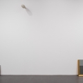 Swindled Seeing, 2013, Karin Ohlin