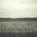 Senvinter, 2005