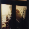 Photo from the series: The mirror between us, 2003-2005, Mikael Lundberg