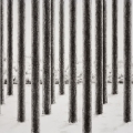 Forest interior 1, 2011, Patrick Nilsson