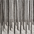 Den underbara månaden maj, 2010, Patrick Nilsson