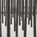 Skogens advokater, 2009, Patrick Nilsson