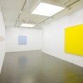 Rickard Sollmann at Galleri Flach 2008