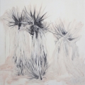 Spanish dagger, 2013, Johanna Fjaestad