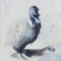 Takahé, 2013, Johanna Fjaestad