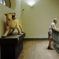 Suppressed Rage (Madrid 2004), 2004, Ville Lenkkeri