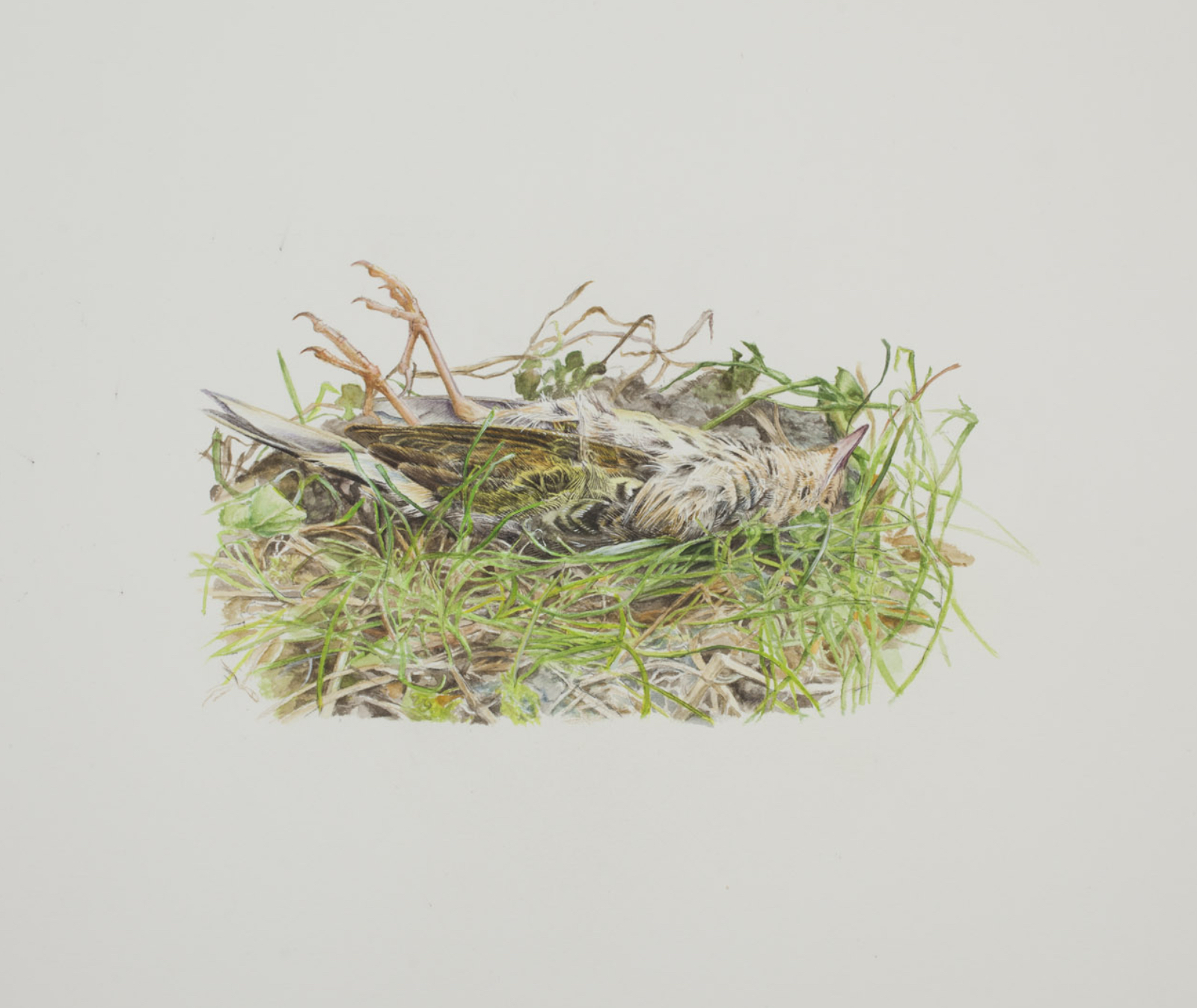 Thorbjørn Sørensen, water color on paper, 19 x 28 cm