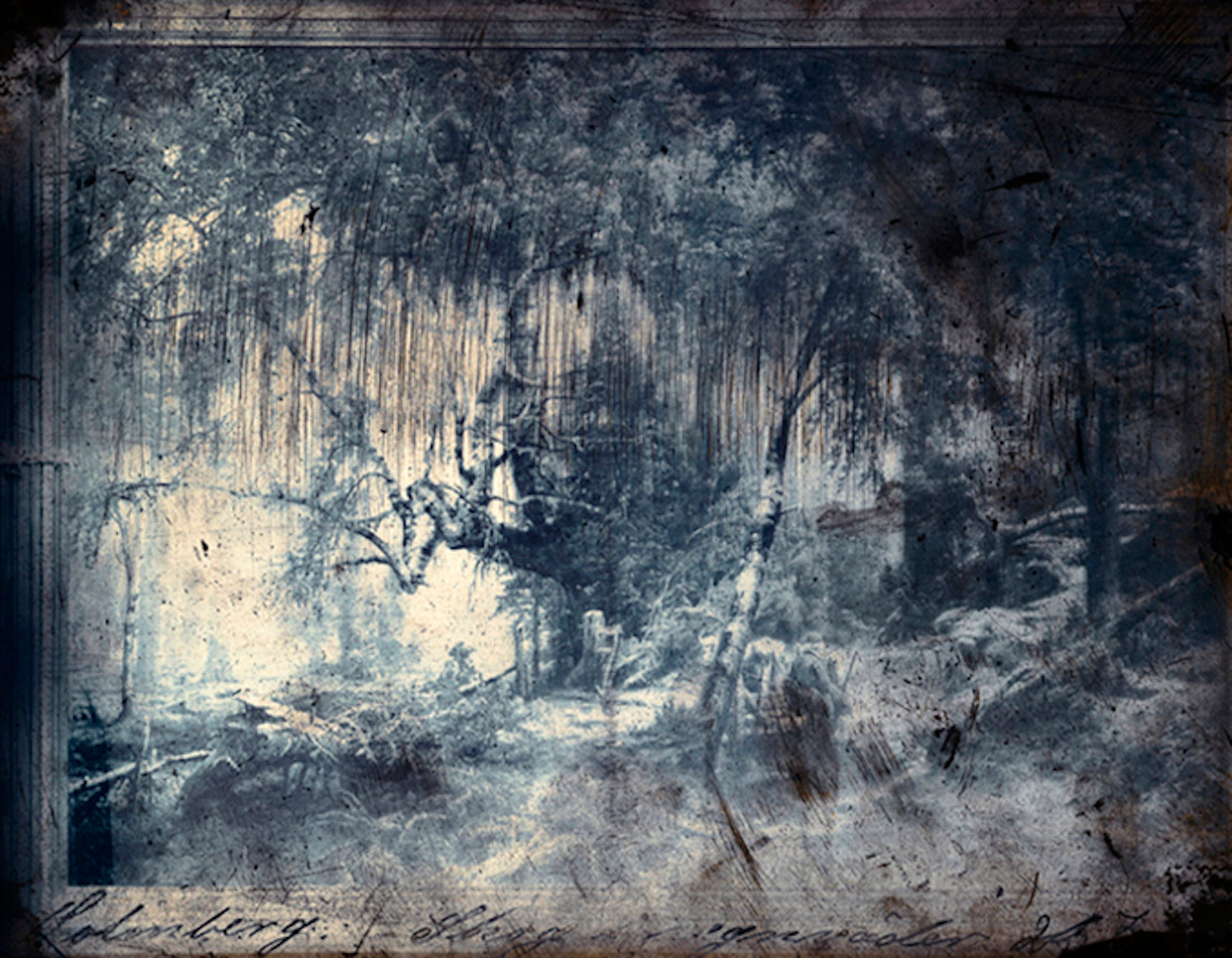 Jorma Puranen, "Forest in Rain", 2013, digital c-print, diasec, wooden frame 123 x 157 cm