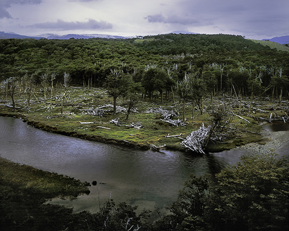 Ville Lenkkeri, "Night Falling over the Land of the Free", 2014, pigment ink print, 120 x 144 cm