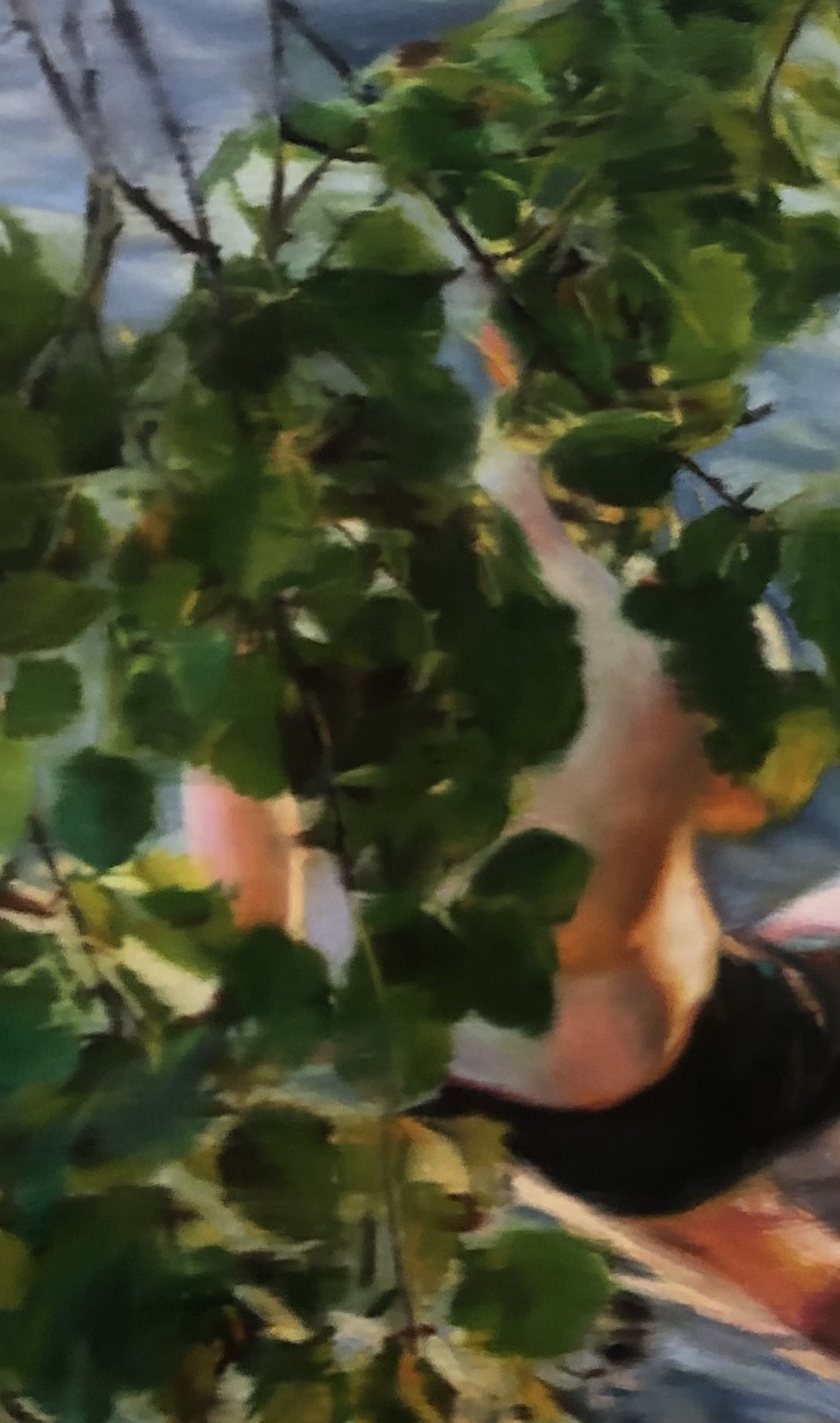 Niklas Holmgren, ”Aspects of a Summer” (Aspekter av en sommar), 19/1 – 18/2 2023