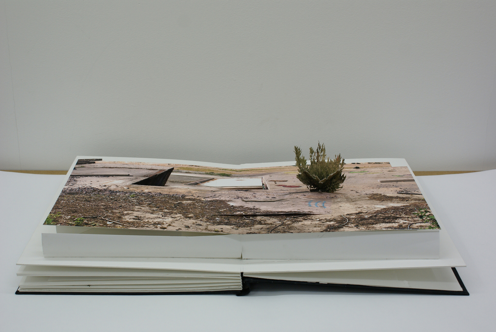 Andreas Johansson, "From Were the Sun now Stands" 2011, paper and glue, 59 x 44 cm, ed. 6/6