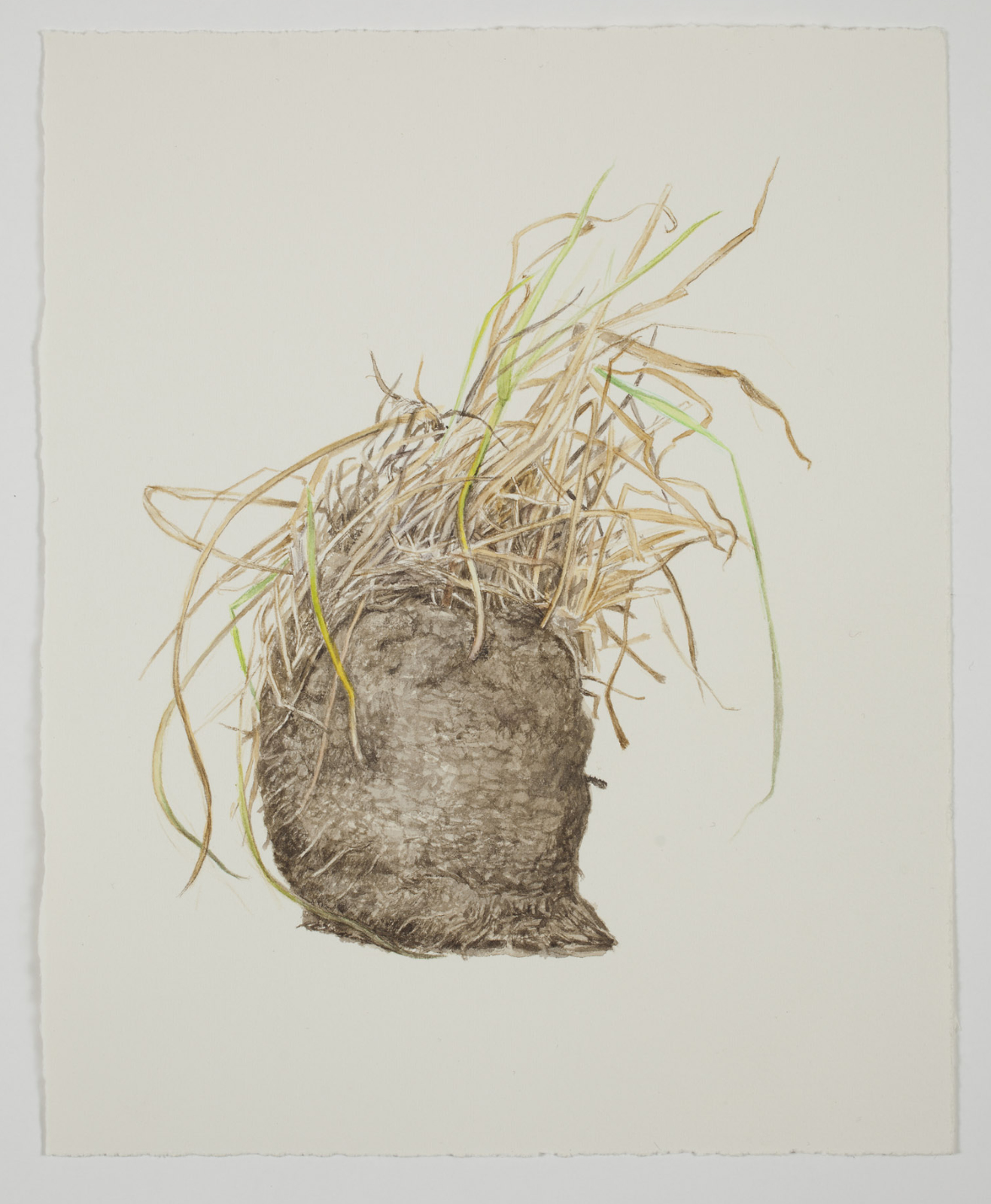 Thorbjørn Sørensen, "From nature (2)", water colour, 25 x 20 cm