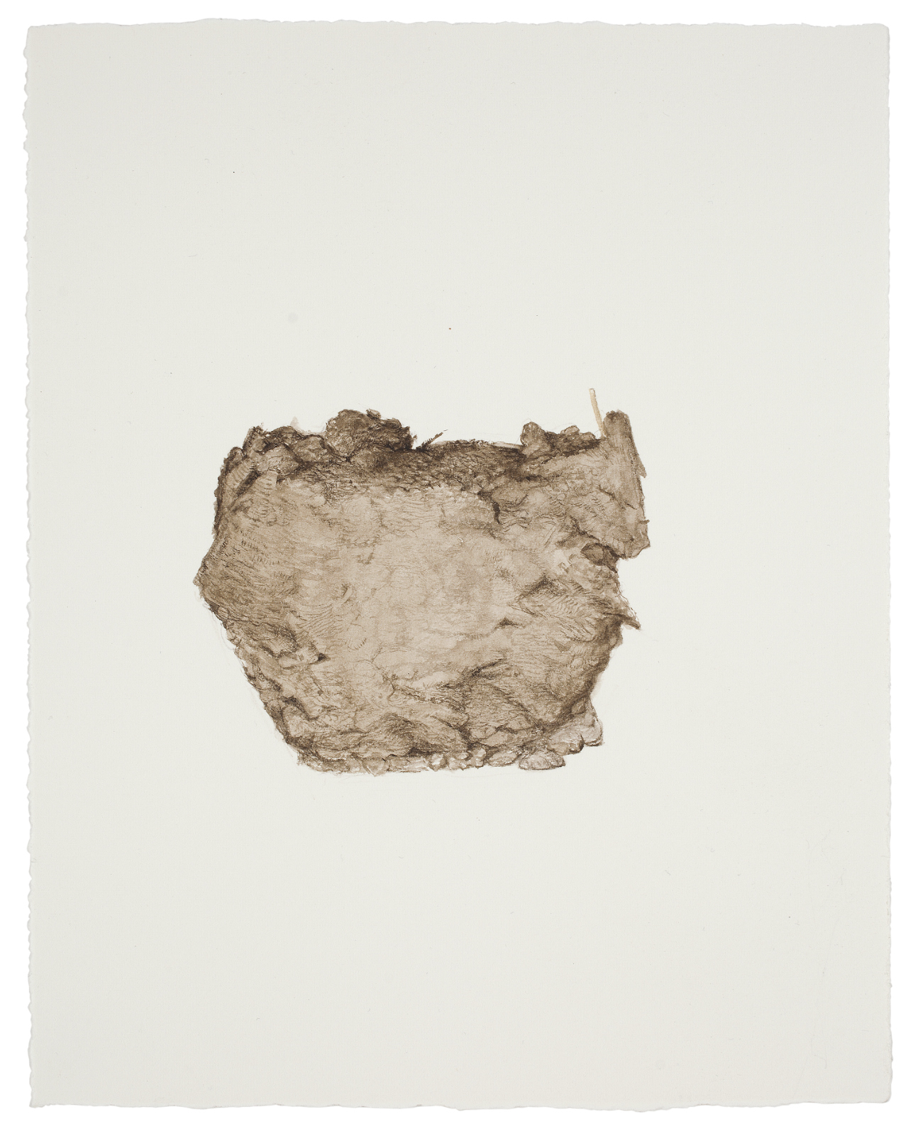 Thorbjørn Sørensen, "From nature", 2013, water color on paper, 25 x 20 cm.