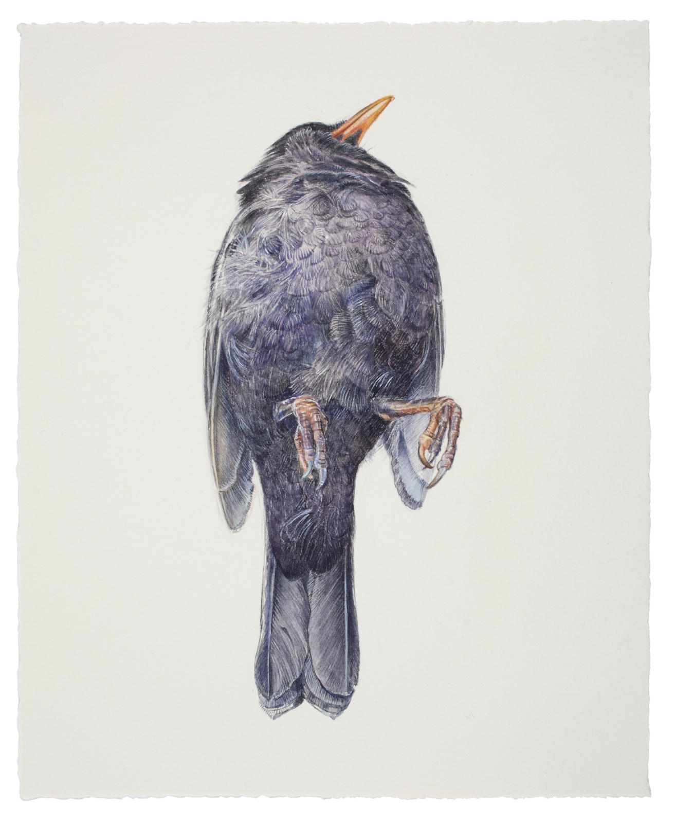 Thorbjørn Sørensen, "From nature (3)", water color on paper, 25 x 20 cm