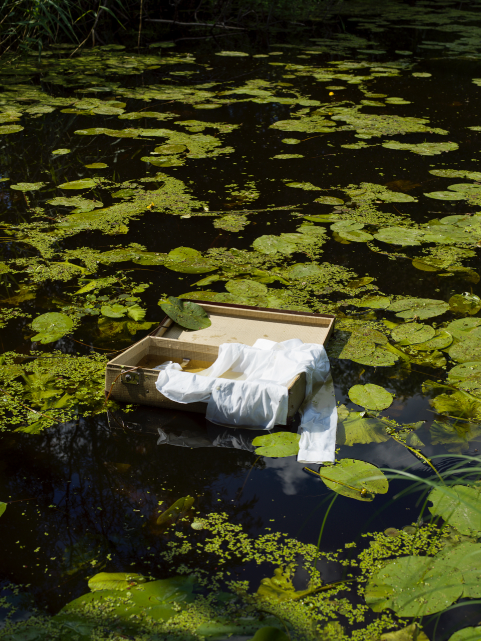 Maria Friberg, "Handed I"
2022. C-print on aluminium, valnutframe,
with frame 105x79,5 cm. 2/3