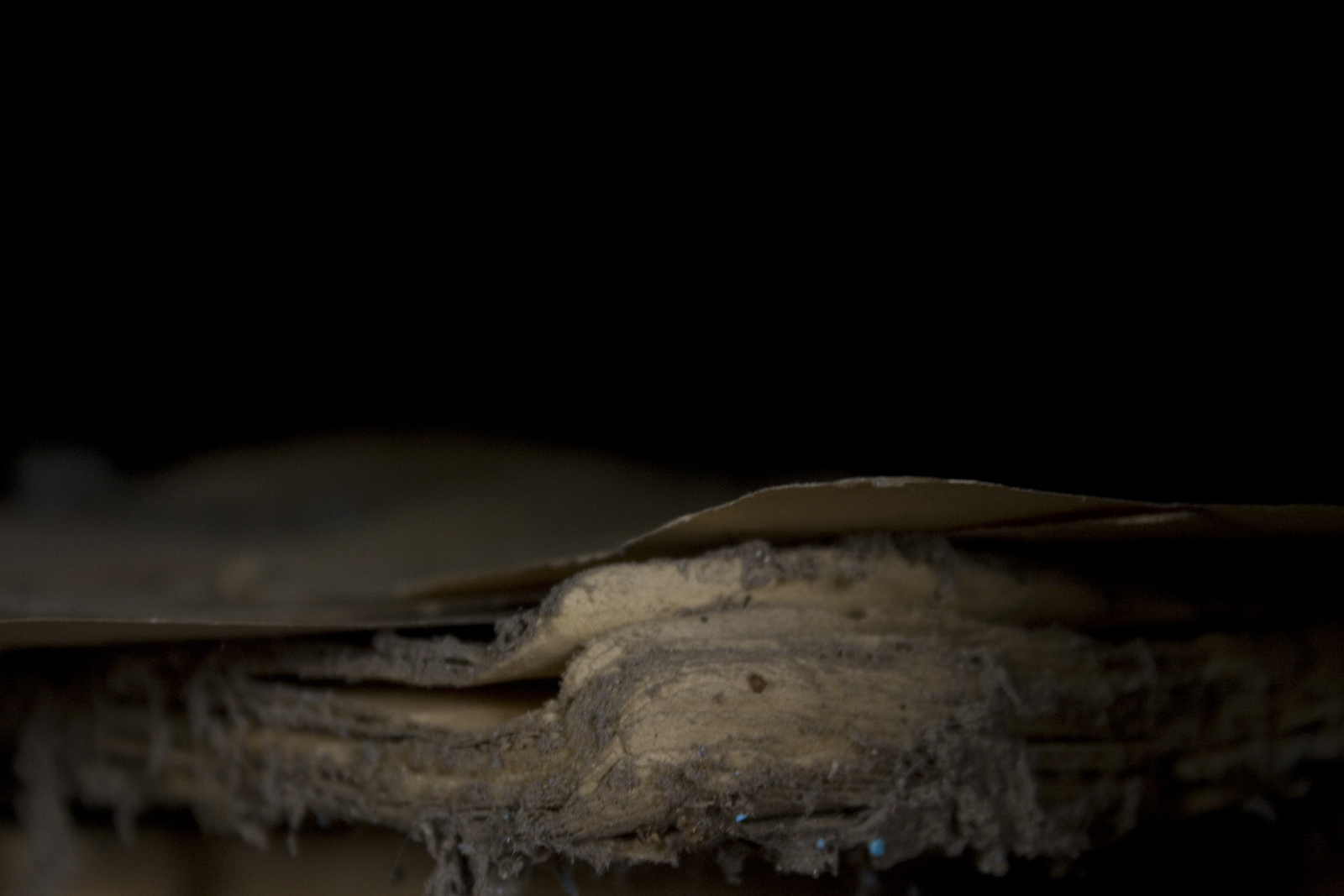 Seydou Camara, "Manuscrits de Tombouctou", C-print
