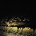 Evading Exposure, Ville Lenkkeri