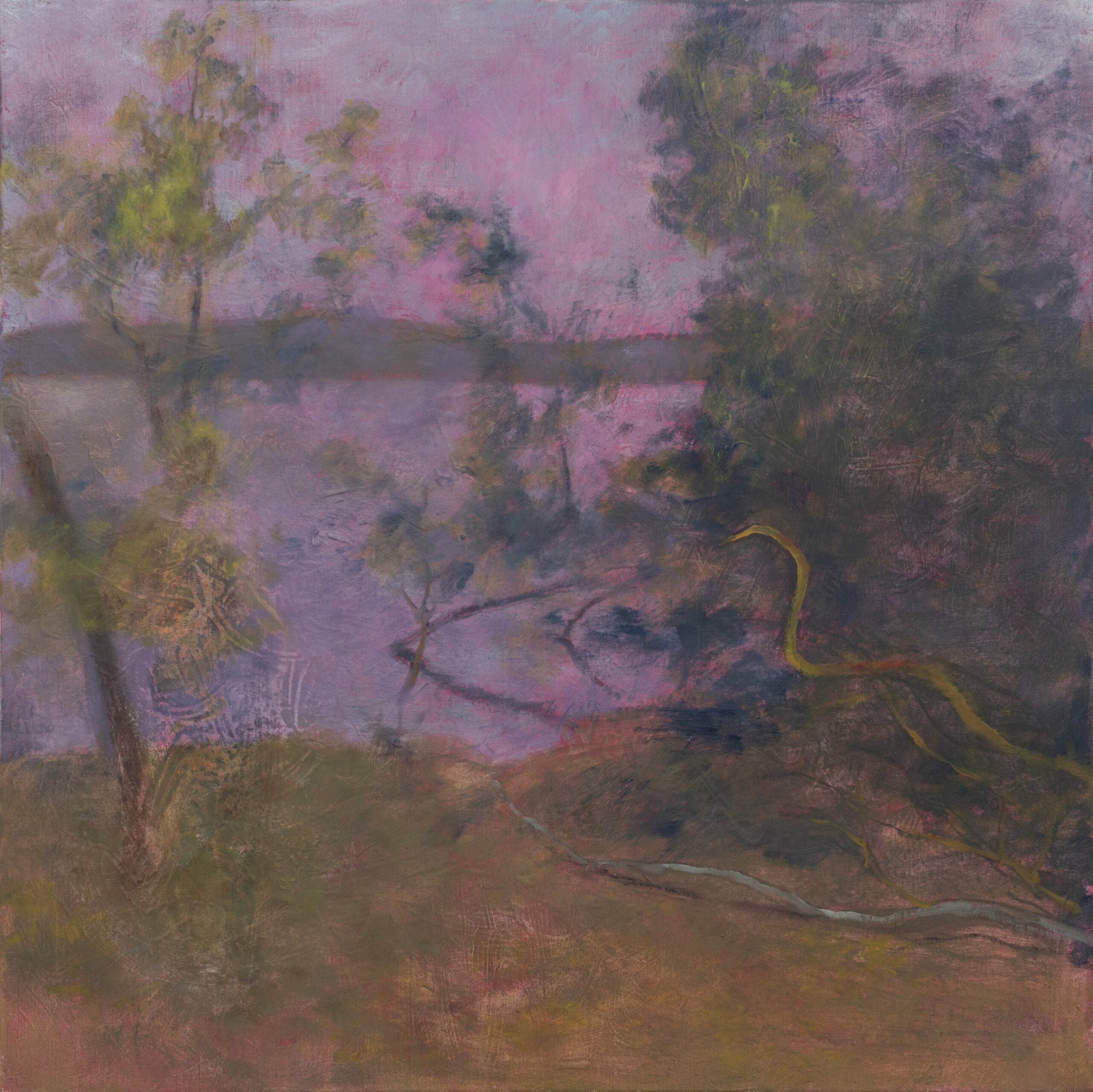 Martin Ålund, "Afterimage XVIII", 2026
Oil and charcoal on canvas, 80 x 80 cm