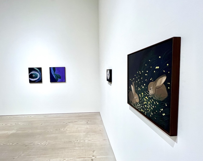 Installation view: Hjördis Greta Gudmundsdottir / Light and Darkness, 2025.