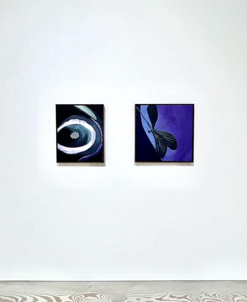 Installation view: Hjördis Greta Gudmundsdottir / Light and Darkness, 2025.